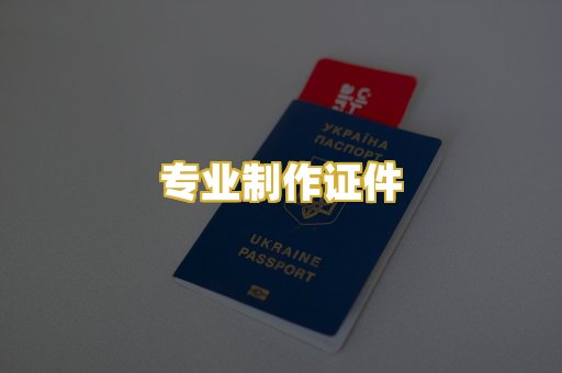专业制作证件